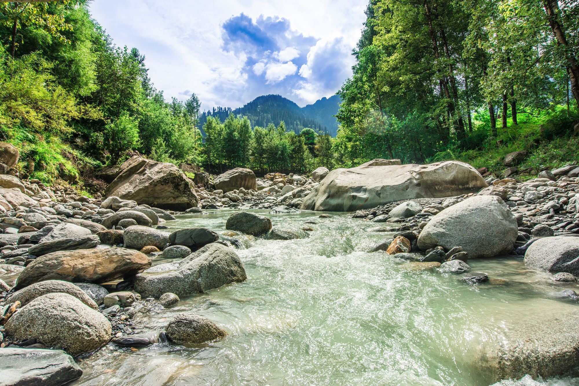 Solang Valley Resort Palchān Exteriör bild