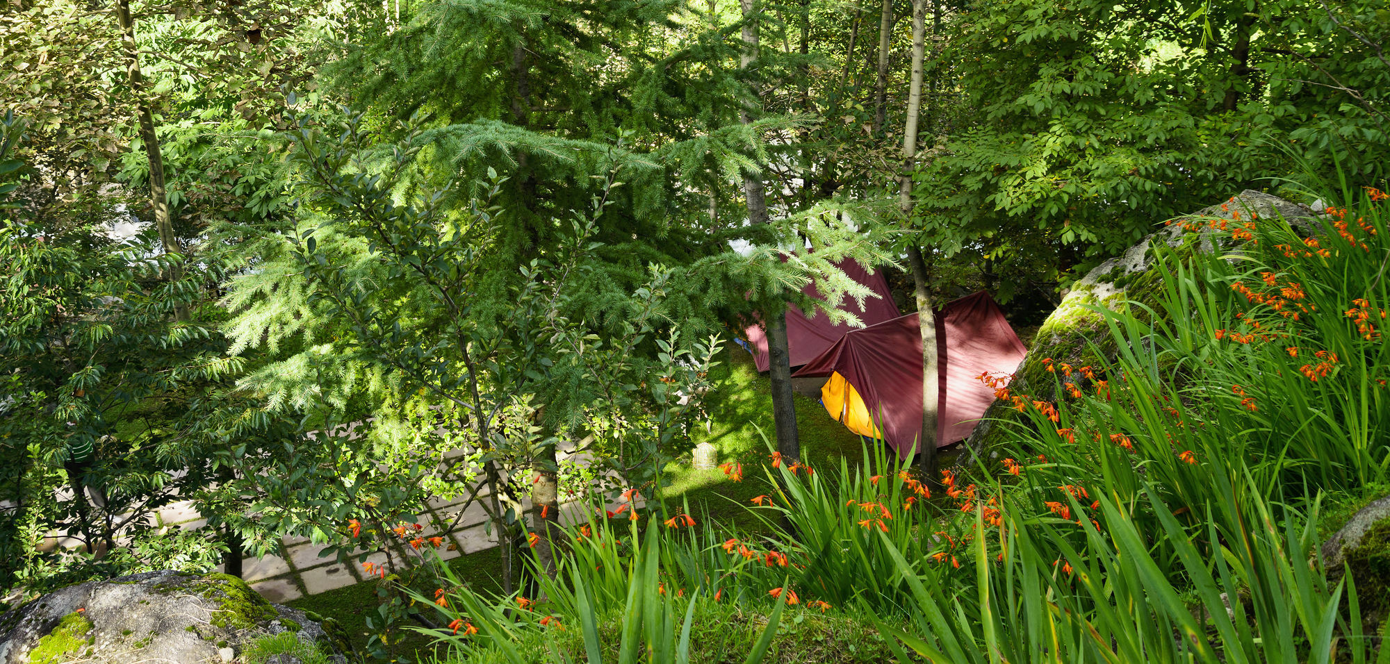 Solang Valley Resort Palchān Exteriör bild