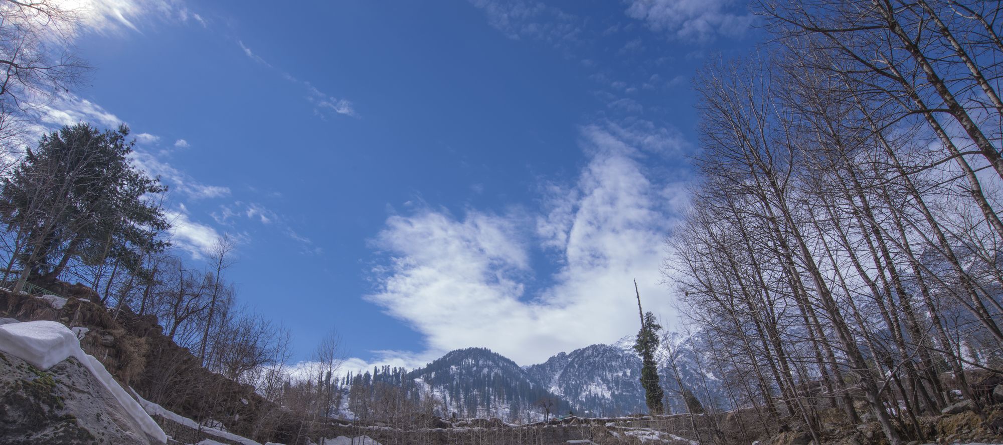Solang Valley Resort Palchān Exteriör bild
