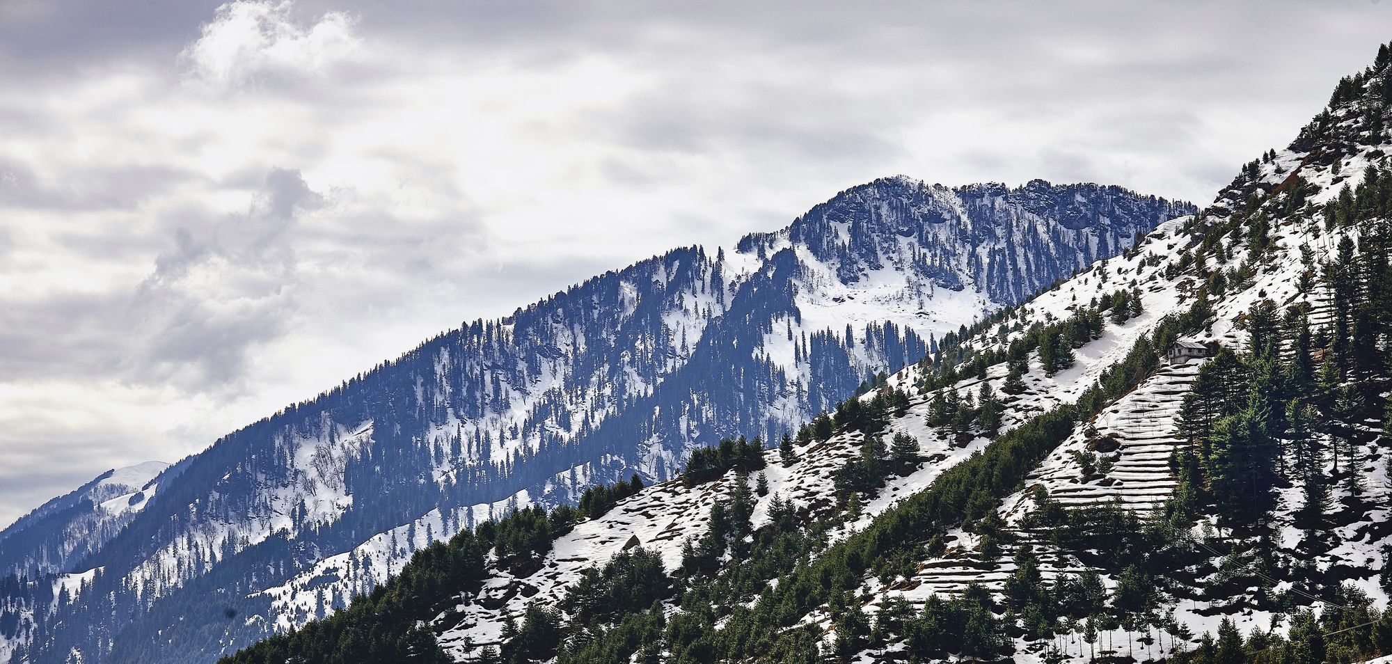Solang Valley Resort Palchān Exteriör bild